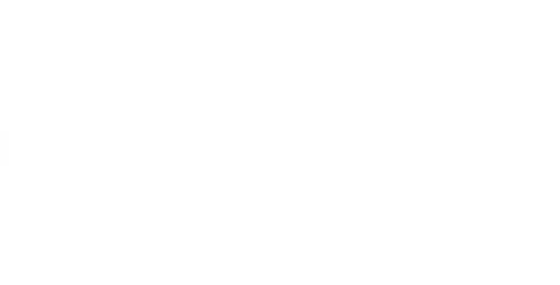 Nadi Life by Sandy Passura Logo
